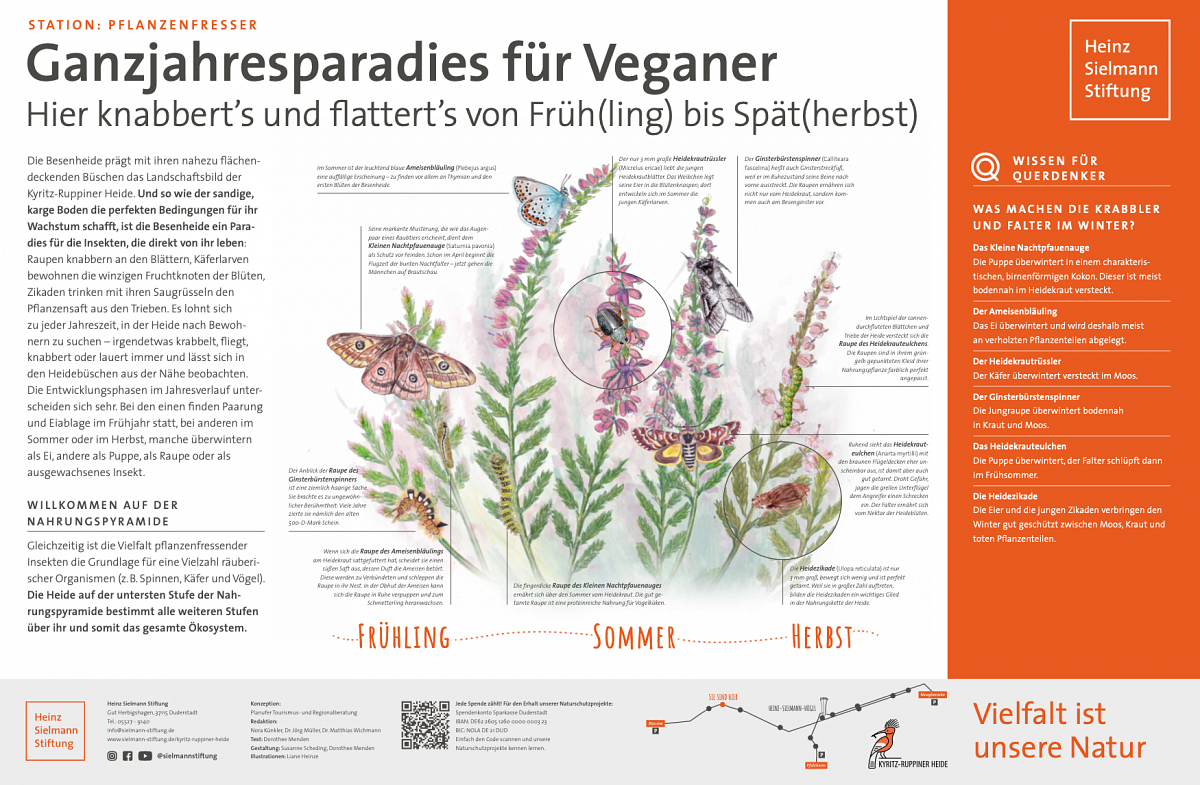 Schild Pflanzenfresser